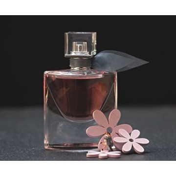 Perfumes, women's designer | Buy online - Karisma Leather goods
